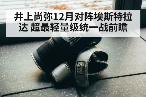 井上尚弥12月对阵埃斯特拉达 超最轻量级统一战前瞻(nine game)